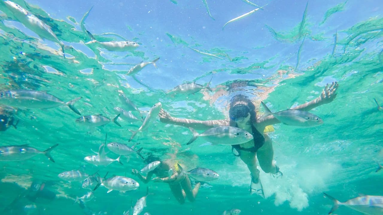 Punta Cana: Schnellboot- und Schnorchelabenteuer mit … — Guided tour and outdoor activity