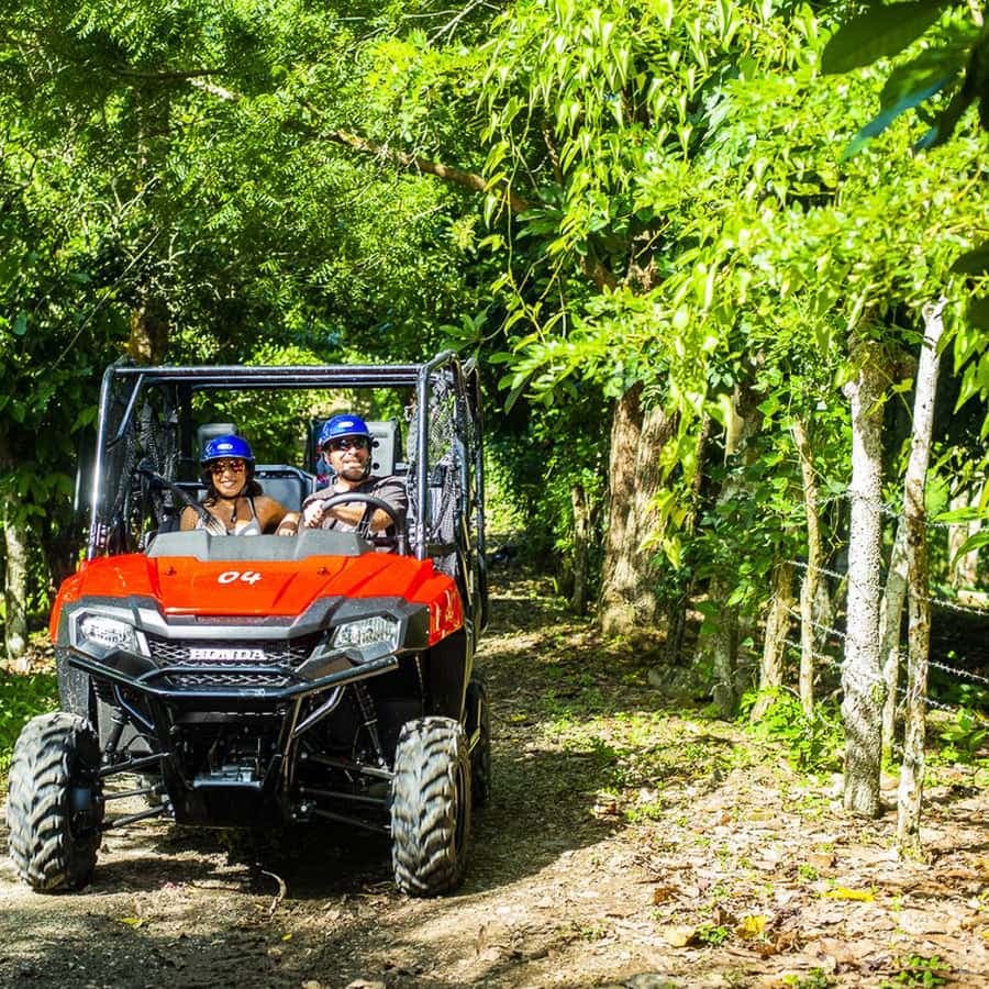 Bayahibe/La Romana: 4x4-Buggy- und Monkeyland-Tour — Guided tour and outdoor activity