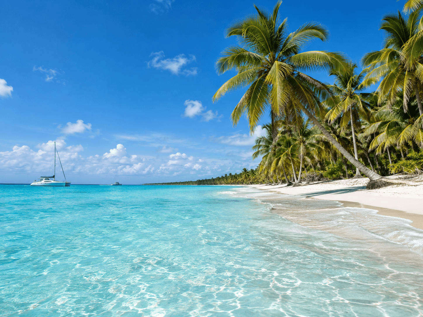Selbstfahrer-Tour nach Samaná Cayo Levantado und zum Wasserfall El Limón — Guided tour and outdoor activity