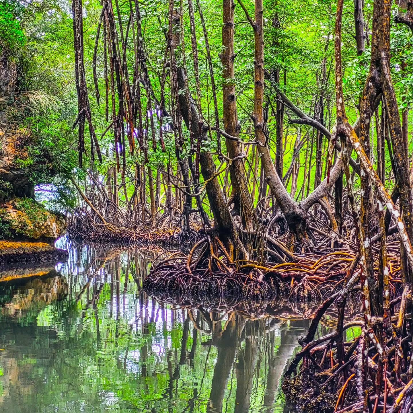 Los Haitises Tour from Santo Domingo, Samaná or Sabana de la Mar. Full Day Trip. — Guided tour and outdoor activity
