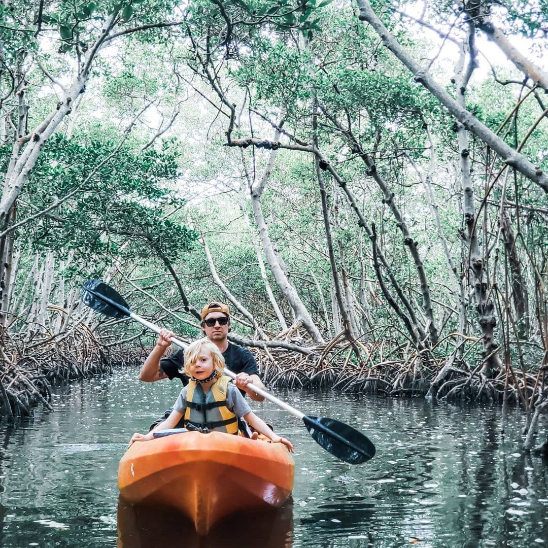 7 Best Things to Do in Los Haitises National Park in 2026