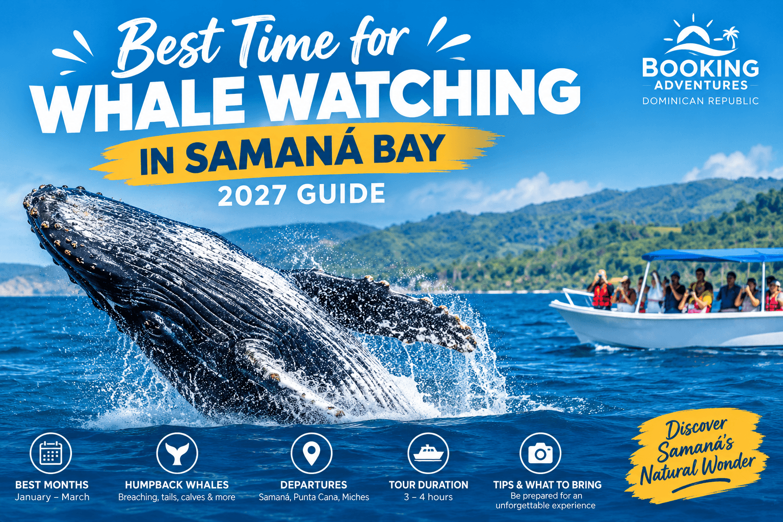Best Time for Whale Watching in Samaná Bay: 2027 Guide