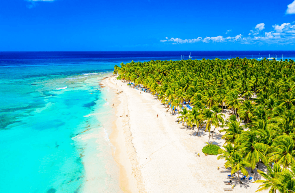 Saona Island From Punta Cana: Tours & Travel Tips
