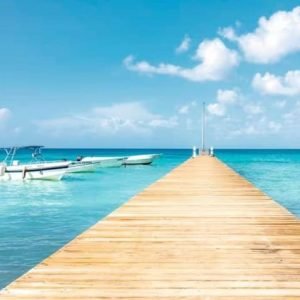 Bayahibe: Samaná and Miches Whale Watching Day Trip