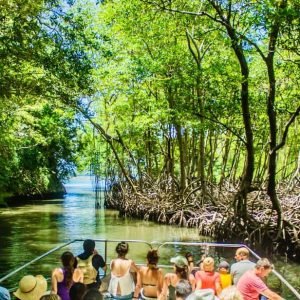 3in1: Los Haitises N P + Yanigua Waterfall + Montaña Redonda